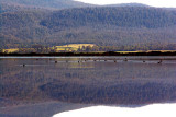 Moulting Lagoon