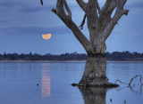 Lake Bonney Moon_2_web.jpg