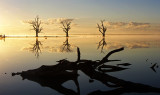 Lake Bonney Moon_3_web.jpg