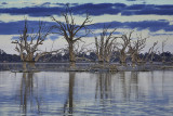 Lake Bonney Reflections_10_web.jpg