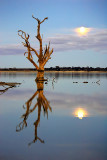 Lake Bonney Reflections_18_web.jpg