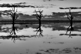 Lake Bonney Reflections_20_bw_web.jpg