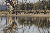 Lake Bonney Reflections_25_web.jpg