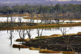 Murray River Paringa_web.jpg