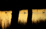 Paringa Sunset_ 5_web.jpg