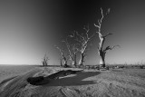 Lake Bonney_3_bw_web.jpg