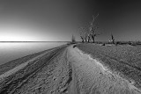 Lake Bonney_2_bw_web.jpg