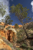 Heading Cliff_30_web.jpg