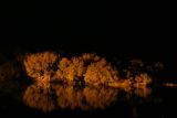 An illuminated island in the middle of the Zambezi River viewed from the dining room