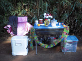 My and Tims incredible aid station spread