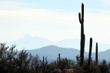 091_Tucson.JPG