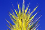 149_Tucson.JPG