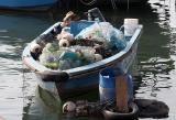 Recycling boat?