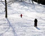 Central Park - figures in a landscape