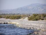 Salton Sea