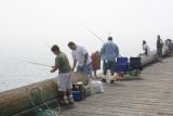 Fishing Off Stearns Wharf