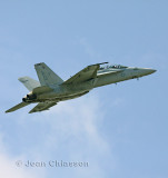 F/A - 18E Super Hornet ( Quebec Air Show ) 2010