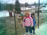 Charity and Carter with reindeer at the tree farm.jpg