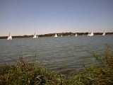 There was a sailboat race on White Rock Lake.jpg