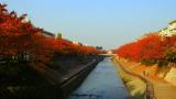 Autumn in Japan