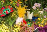 The Japan Grand Prix International Orchid Festival