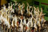Ayu or Sweet Fish