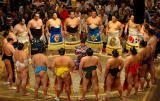 A circle with best Sumo players in the World