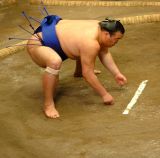 My Favourite Sumo player