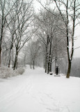 trail entrance in the snow