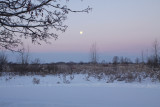 winter field with moon