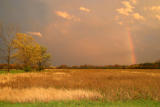 a rainbow after the rain shower...