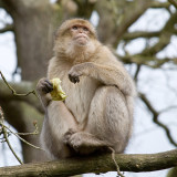 DSC_9429.jpg