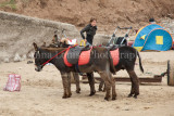 Filey