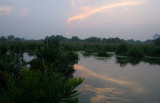 muare anke view