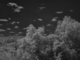 lx3_ir3_5aug09.jpg