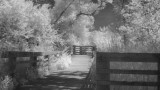 lx3_ir5_5aug09.jpg