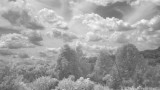 lx3_ir6_7aug09.jpg