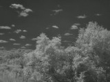 lx3_ir3_5aug09.jpg