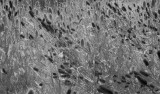 lx3_ir3_18aug09.jpg