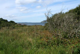 On the Isle of Mull