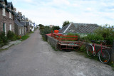 Iona