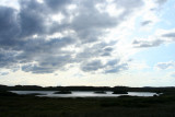 On the Isle of Mull