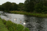 Forth and Clyde Canal