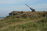 IMG_8532.JPG