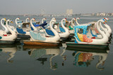 West Lake