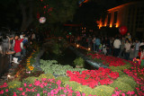 IMG_8789.JPG