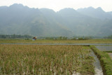 Mai Chau - Lac