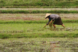 Mai Chau - Lac