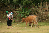 Mai Chau - Lac