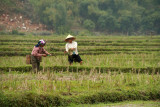 Mai Chau - Lac